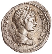 obverse of Septimius Severus RIC IV 21