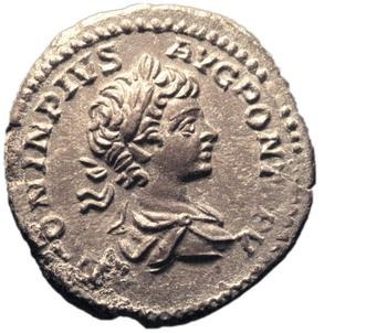 obverse of Septimius Severus RIC IV 542