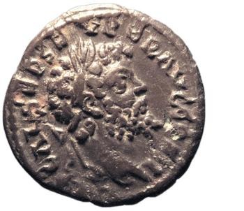 obverse of Septimius Severus RIC IV 388