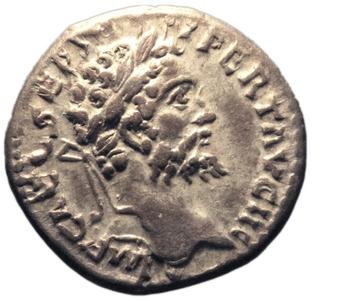 obverse of Septimius Severus RIC IV 375
