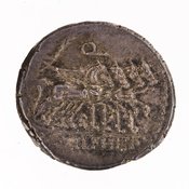 reverse of Roman Republic RRC 366/3c