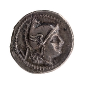 obverse of Roman Republic RRC 97/2
